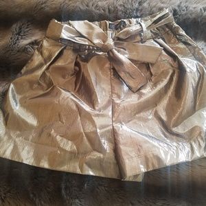 Zara Metallic Bermuda Style Shorts.